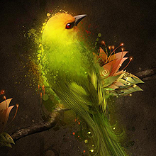 Web漏洞扫描工具